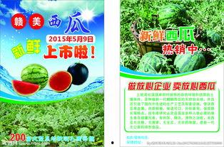 娱乐吃瓜酱超市促销单